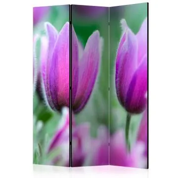 Parawan dwustronny Kwiaty 135x172 cm 3-częściowy wielokolorowy