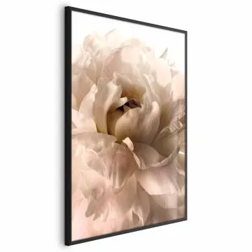 Plakat Miękkie płatki 21x30 cm z ramą czarną bez marginesu