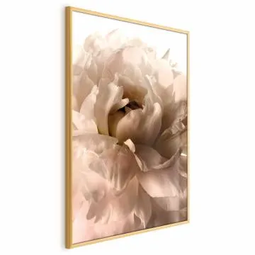 Plakat Miękkie płatki 29,7x42 cm z ramą złotą bez marginesu
