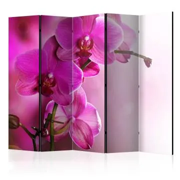Parawan dwustronny Kwiaty 225x172 cm 5-częściowy szary