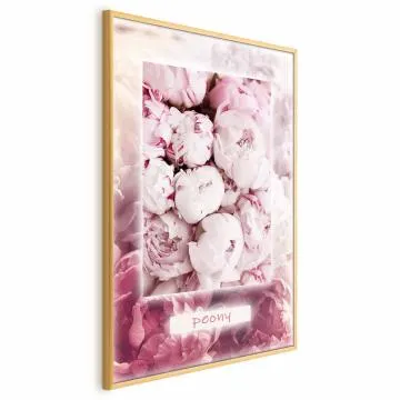 Plakat Delikatność wiosny 60x90 cm z ramą złotą bez marginesu