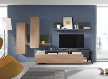 Szafka RTV BOTA 219 antracyt/dąb ribbec