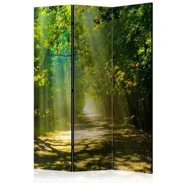 Parawan akustyczny Pejzaże 135x172 cm 3-częściowy zielony
