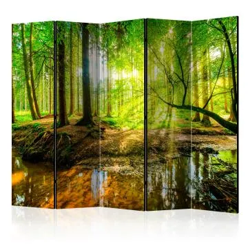 Parawan dwustronny Pejzaże 225x172 cm 5-częściowy zielony