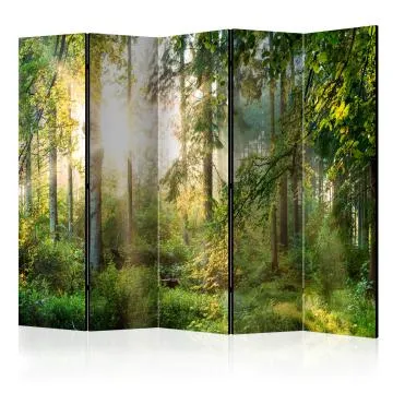 Parawan dwustronny Pejzaże 225x172 cm 5-częściowy zielony
