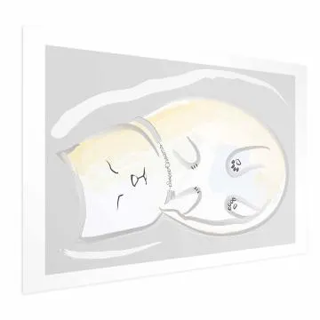 Plakat Śpiący kotek 60x40 cm bez ramy z marginesem