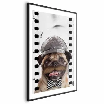 Plakat Mops w czapce 29,7x42 cm z ramą czarną z marginesem