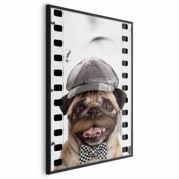 Plakat Mops w czapce 40x60 cm z ramą czarną bez marginesu