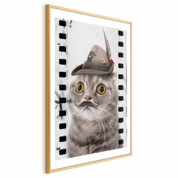 Plakat Kot w kapeluszu 40x60 cm z ramą złotą z marginesem