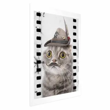 Plakat Kot w kapeluszu 60x90 cm bez ramy z marginesem