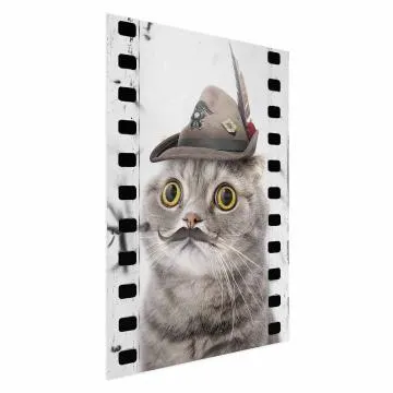 Plakat Kot w kapeluszu 21x30 cm bez ramy bez marginesu