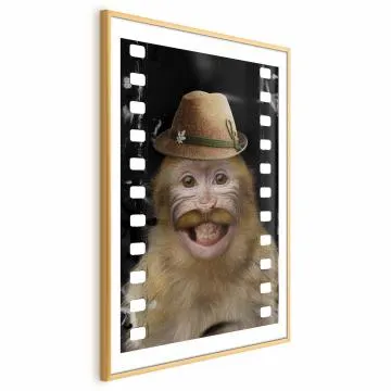 Plakat Małpa w kapeluszu 21x30 cm z ramą złotą z marginesem