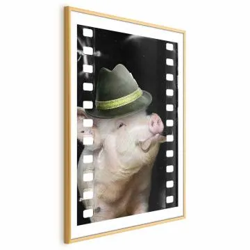 Plakat Świnia z wąsami 60x90 cm z ramą złotą z marginesem