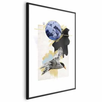 Plakat Rybitwa antarktyczna 21x30 cm z ramą czarną bez marginesu