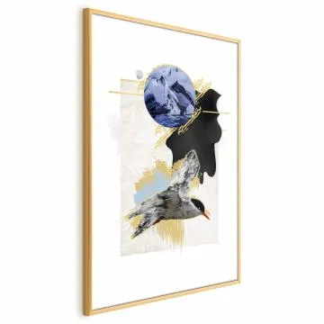 Plakat Rybitwa antarktyczna 29,7x42 cm z ramą złotą bez marginesu