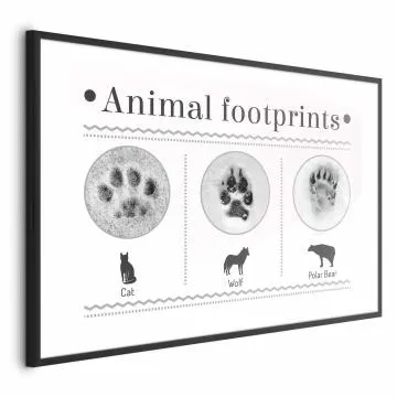 Plakat Ślady łapek 30x21 cm z ramą czarną z marginesem