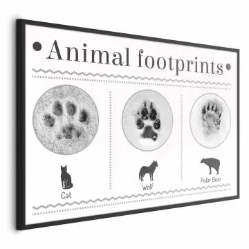 Plakat Ślady łapek 30x21 cm z ramą czarną bez marginesu
