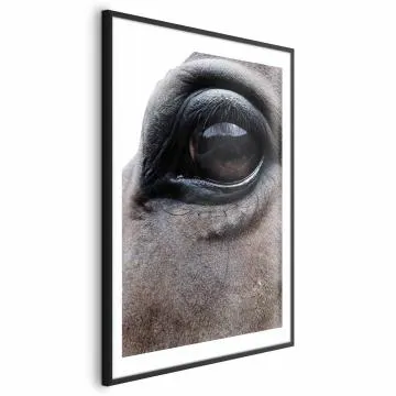 Plakat Szczere oczy 60x90 cm z ramą czarną z marginesem