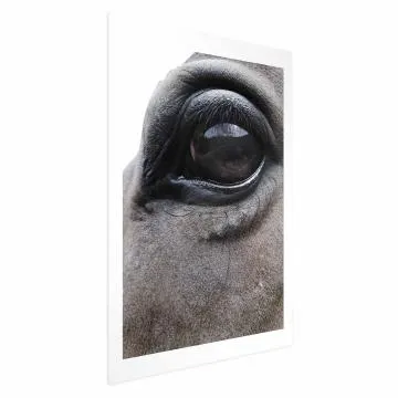 Plakat Szczere oczy 29,7x42 cm bez ramy z marginesem