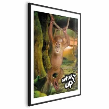 Plakat What's Up 21x30 cm z ramą czarną z marginesem