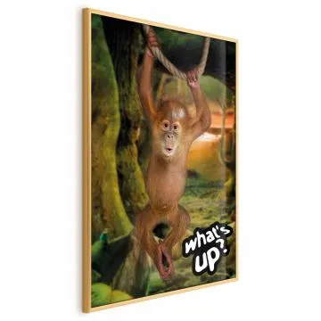 Plakat What's Up 29,7x42 cm z ramą złotą bez marginesu