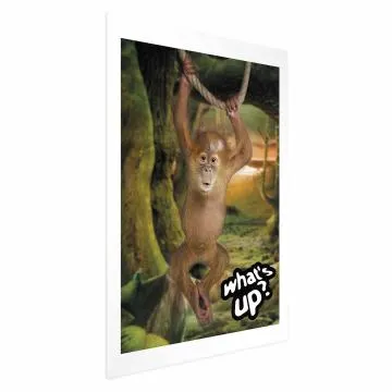 Plakat What's Up 60x90 cm bez ramy z marginesem