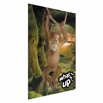 Plakat What's Up 29,7x42 cm bez ramy bez marginesu