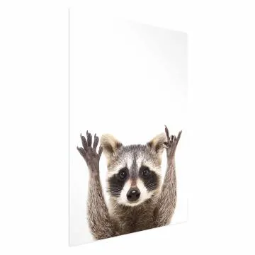 Plakat Szop 60x90 cm bez ramy bez marginesu