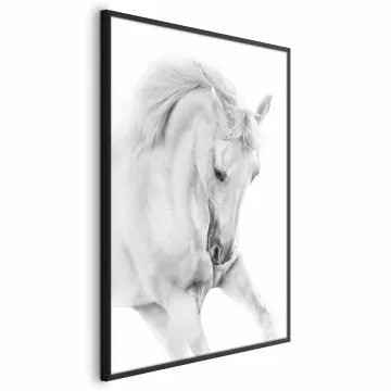 Plakat Biały koń 60x90 cm z ramą czarną bez marginesu