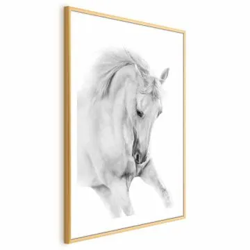 Plakat Biały koń 21x30 cm z ramą złotą z marginesem