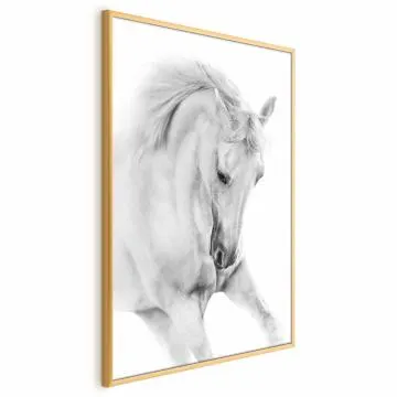 Plakat Biały koń 60x90 cm z ramą złotą bez marginesu