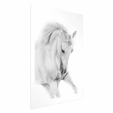 Plakat Biały koń 60x90 cm bez ramy z marginesem