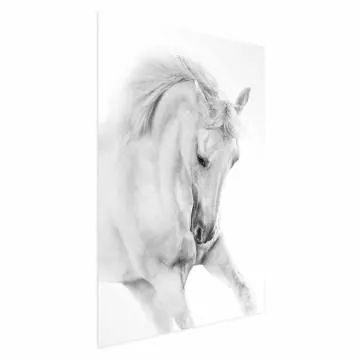 Plakat Biały koń 21x30 cm bez ramy bez marginesu
