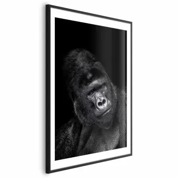 Plakat Goryl 29,7x42 cm z ramą czarną z marginesem