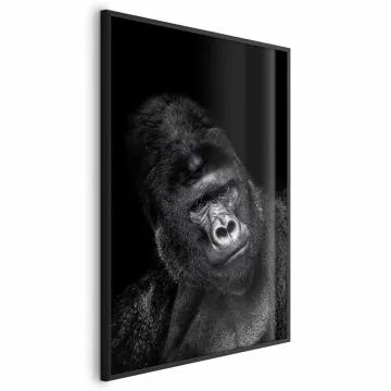 Plakat Goryl 40x60 cm z ramą czarną bez marginesu