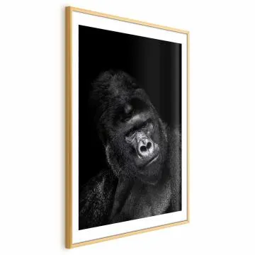 Plakat Goryl 60x90 cm z ramą złotą z marginesem