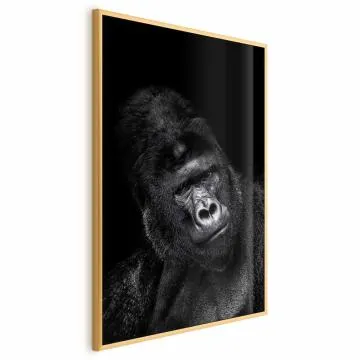 Plakat Goryl 21x30 cm z ramą złotą bez marginesu