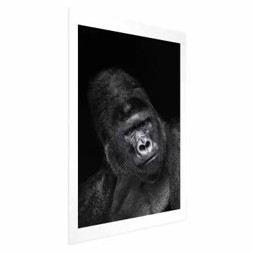 Plakat Goryl 60x90 cm bez ramy z marginesem