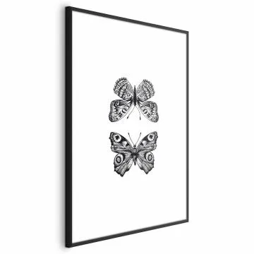 Plakat Dwa motyle 60x90 cm z ramą czarną z marginesem