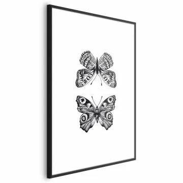 Plakat Dwa motyle 60x90 cm z ramą czarną bez marginesu
