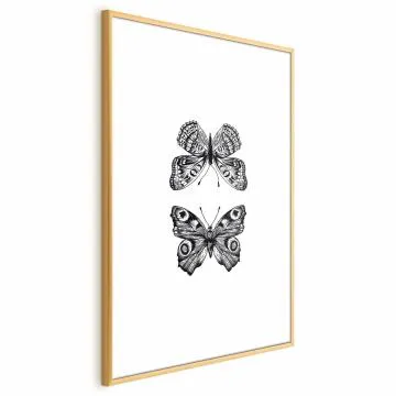 Plakat Dwa motyle 60x90 cm z ramą złotą z marginesem