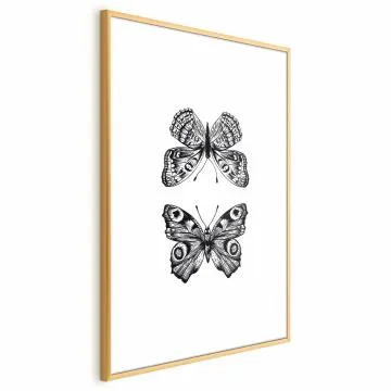 Plakat Dwa motyle 21x30 cm z ramą złotą bez marginesu