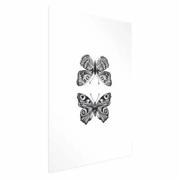 Plakat Dwa motyle 60x90 cm bez ramy z marginesem