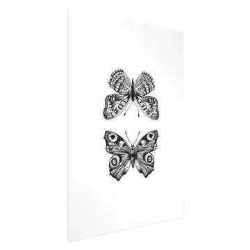 Plakat Dwa motyle 60x90 cm bez ramy bez marginesu