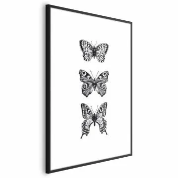 Plakat Trzy motyle 21x30 cm z ramą czarną z marginesem