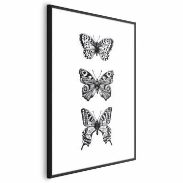 Plakat Trzy motyle 60x90 cm z ramą czarną bez marginesu