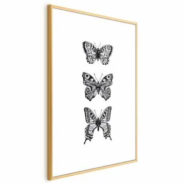 Plakat Trzy motyle 60x90 cm z ramą złotą z marginesem