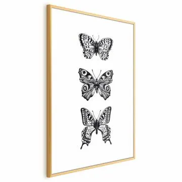 Plakat Trzy motyle 29,7x42 cm z ramą złotą bez marginesu