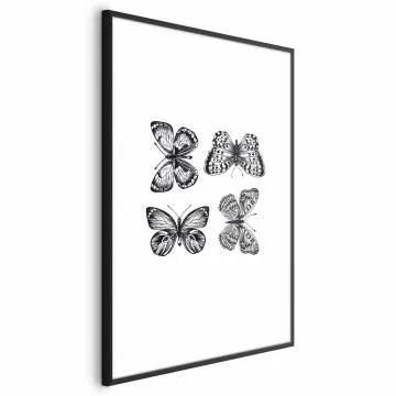 Plakat Cztery motyle 21x30 cm z ramą czarną z marginesem