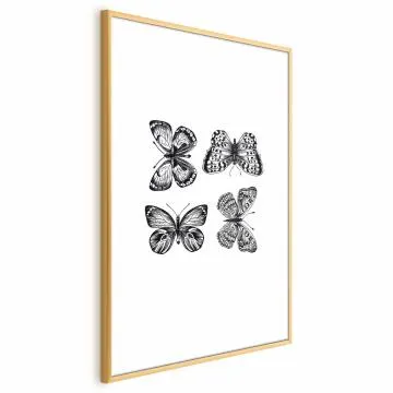 Plakat Cztery motyle 60x90 cm z ramą złotą z marginesem
